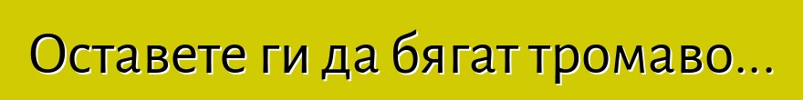 Оставете ги да бягат тромаво...