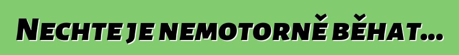 Nechte je nemotorně běhat...