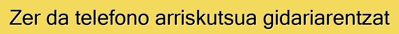 Zer da telefono arriskutsua gidariarentzat