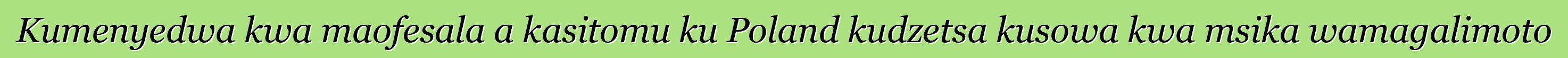 Kumenyedwa kwa maofesala a kasitomu ku Poland kudzetsa kusowa kwa msika wamagalimoto