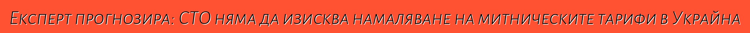 Експерт прогнозира: СТО няма да изисква намаляване на митническите тарифи в Украйна