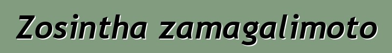 Zosintha zamagalimoto