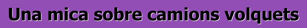 Una mica sobre camions volquets