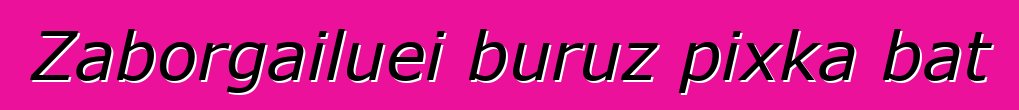Zaborgailuei buruz pixka bat