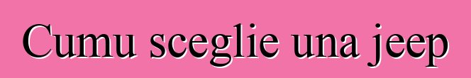 Cumu sceglie una jeep