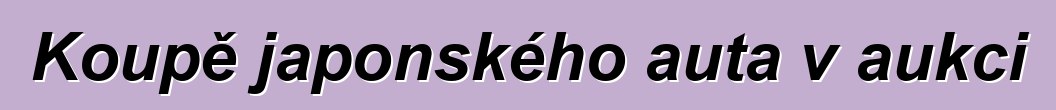 Koupě japonského auta v aukci