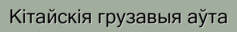Кітайскія грузавыя аўта