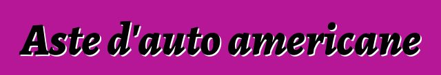 Aste d'auto americane