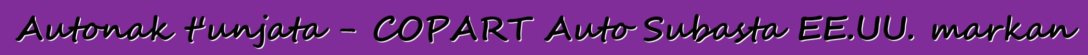 Autonak t'unjata - COPART Auto Subasta EE.UU. markan