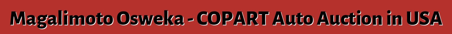 Magalimoto Osweka - COPART Auto Auction in USA