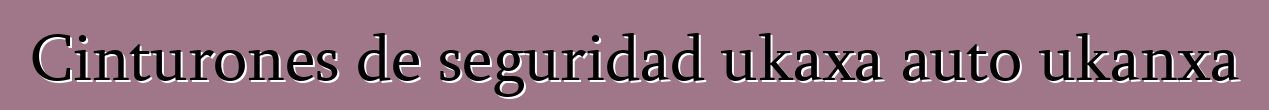 Cinturones de seguridad ukaxa auto ukanxa