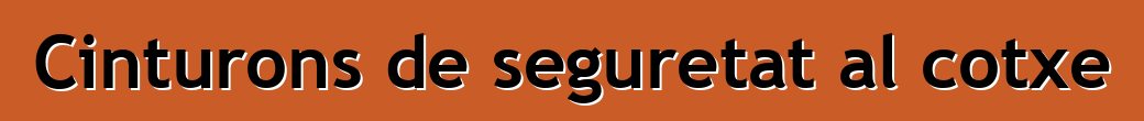 Cinturons de seguretat al cotxe