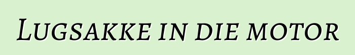 Lugsakke in die motor