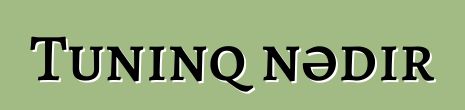 Tuninq nədir