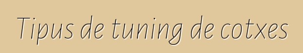 Tipus de tuning de cotxes