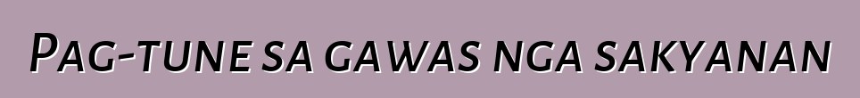 Pag-tune sa gawas nga sakyanan