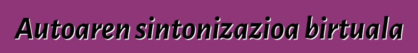 Autoaren sintonizazioa birtuala