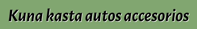 Kuna kasta autos accesorios