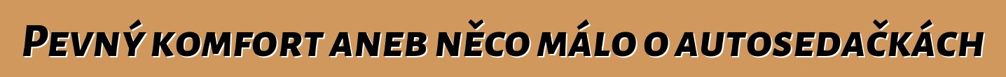 Pevný komfort aneb něco málo o autosedačkách