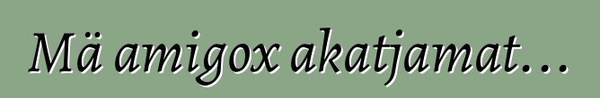 Mä amigox akatjamat...