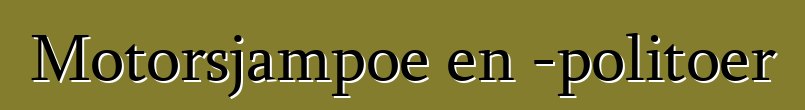 Motorsjampoe en -politoer