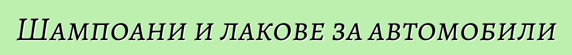 Шампоани и лакове за автомобили