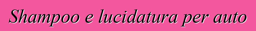 Shampoo e lucidatura per auto