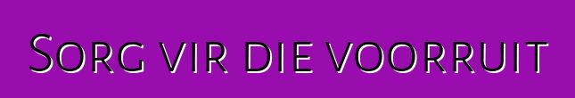 Sorg vir die voorruit