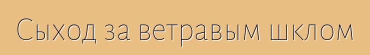 Сыход за ветравым шклом