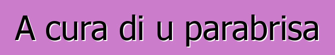 A cura di u parabrisa