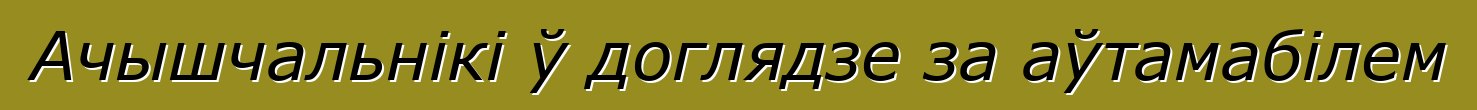 Ачышчальнікі ў доглядзе за аўтамабілем