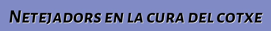 Netejadors en la cura del cotxe