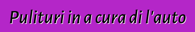 Pulituri in a cura di l'auto
