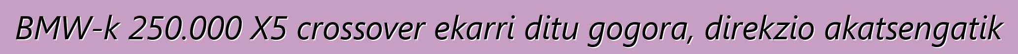 BMW-k 250.000 X5 crossover ekarri ditu gogora, direkzio akatsengatik