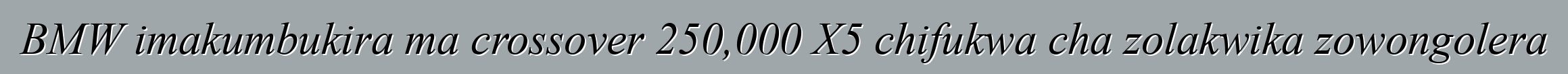 BMW imakumbukira ma crossover 250,000 X5 chifukwa cha zolakwika zowongolera