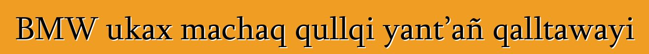 BMW ukax machaq qullqi yant’añ qalltawayi