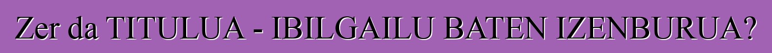 Zer da TITULUA - IBILGAILU BATEN IZENBURUA?