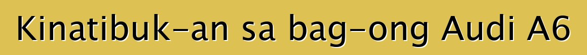 Kinatibuk-an sa bag-ong Audi A6