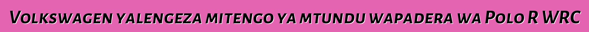 Volkswagen yalengeza mitengo ya mtundu wapadera wa Polo R WRC