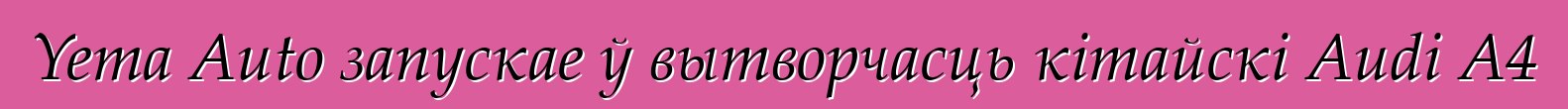Yema Auto запускае ў вытворчасць кітайскі Audi A4