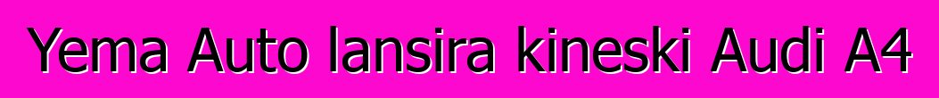 Yema Auto lansira kineski Audi A4