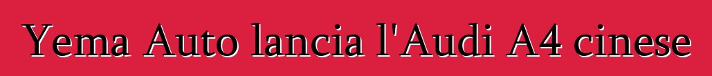 Yema Auto lancia l'Audi A4 cinese
