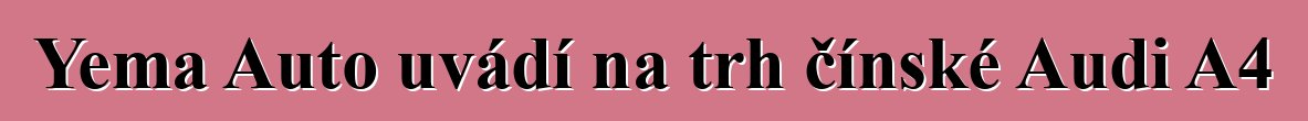 Yema Auto uvádí na trh čínské Audi A4