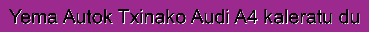 Yema Autok Txinako Audi A4 kaleratu du