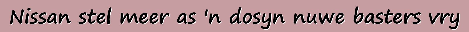 Nissan stel meer as 'n dosyn nuwe basters vry