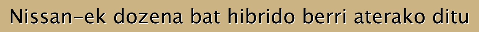 Nissan-ek dozena bat hibrido berri aterako ditu