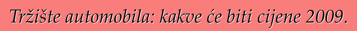 Tržište automobila: kakve će biti cijene 2009.