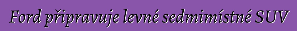 Ford připravuje levné sedmimístné SUV