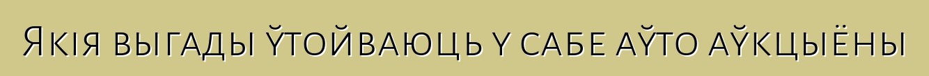 Якія выгады ўтойваюць у сабе аўто аўкцыёны