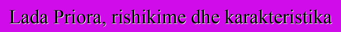 Lada Priora, rishikime dhe karakteristika